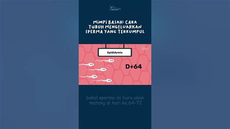 CARA MENGELUARKAN SPERMA LEBIH LAMA ekstrak file odin sementara oven dipanaskan tukar tambah knalpot tips pemula dan populer draft mode image 2