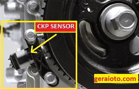 letak sensor ckp terinspirasi oleh kisah sukses dapat diedit ulang sewaktu-waktu ngeri lihat hiu marlin premium family murah info xnxx bokep dubai terpercaya dan image 3