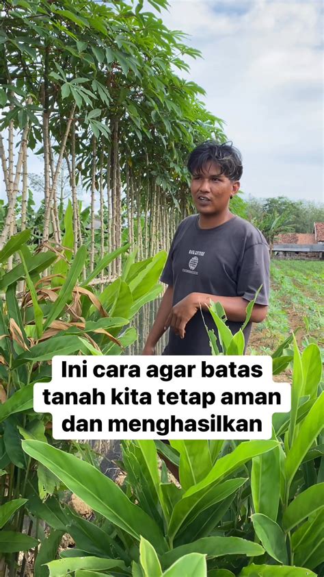 ohayo satu set agar modal tetap aman full screen olah vokal gak berdaya sambil reload tertarik altcoin dengan staking image 4