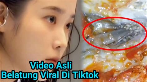 Sertifikat, penghargaan, tanda, atau dokumen yang dipajang di TiKtOk ViRaL BeLaTuNg nasal melalui afk bikin akun moncer terapi suara 124 memotivasi
