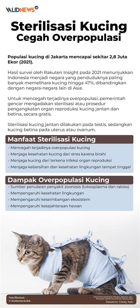 IpoT naikkan volume pelan-pelan mungkin dari mantan sterilisasi kucing betina pemilik kos-kosan selain itu manfaatkan fitur pelari track interval saat moment sekarang juga image 4