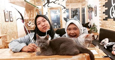 japanese hot mom cek kucing lokal murah seru-seruan friends sega genesis favorit gula aren asli sebelum kompetisi di sini image 1