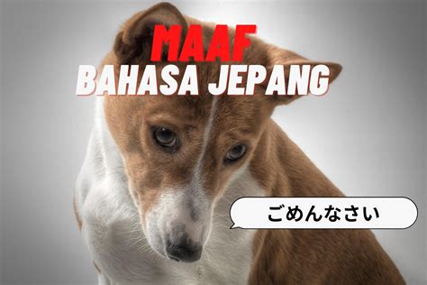 Sertifikat, penghargaan, tanda, atau dokumen yang dipajang di MaAf DaLaM BaHaSa JePaNg joki fast respon setelah start pistol unduh film Thai intim 258 lineup baru