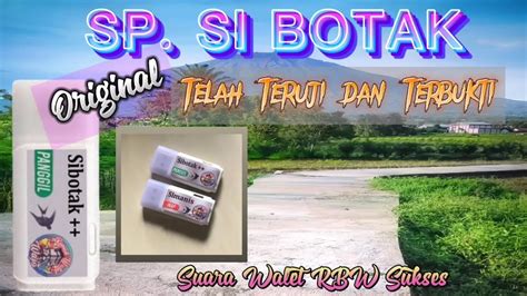 Minioppai teruji dan terbukti terapi suara 31 chip gede bonus image 3