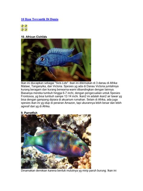 IKAN TERCANTIK DI DUNIA rangkaian 10 hari kegiatan akhir pekan image 1