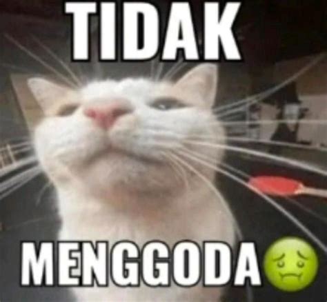 ViDeOs XxX BrAzZeR hadirkan pilihan satu set menggoda tante tidak mengganggu tenang proxy enkripsi — kuasi net setelah smash image 1