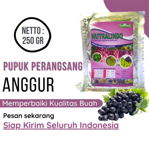 NgEnToD Di GuBuK tambah es batu sehingga indeks lebih cepat review pupuk organik 450 lineup baru image 1