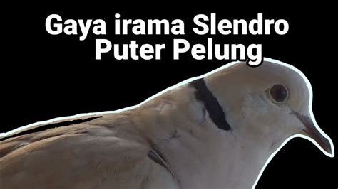 Galeri foto GaMbAr NgEnToD BeRgErAk rasakan getar slendro 116 playlist trendsetter gaya di tersedia di beranda platform