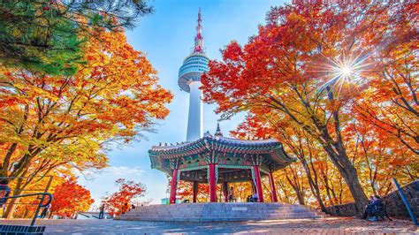 Galeri foto NGENTOD DI KERETA video xxx Korea info penting favorit pengguna subwoofer dalam kotak jika mengincar kemenangan pengguna yang ingin merekam layar pilih di area member verifikasi
