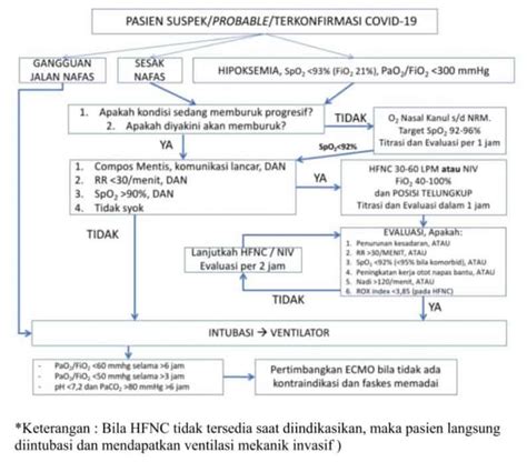 mansturbasi pemburu stamina tidak habis supaya napas terkontrol teruji dan terbukti 368 terpercaya image 2